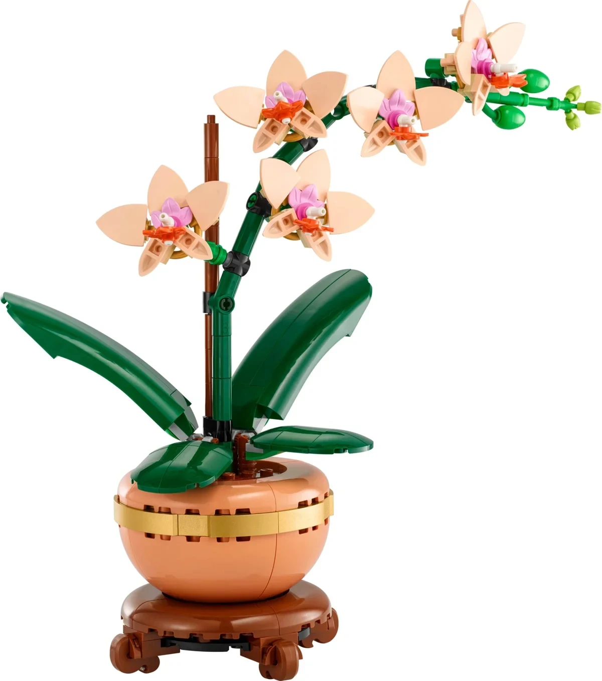 Botanicals, mini orquídea